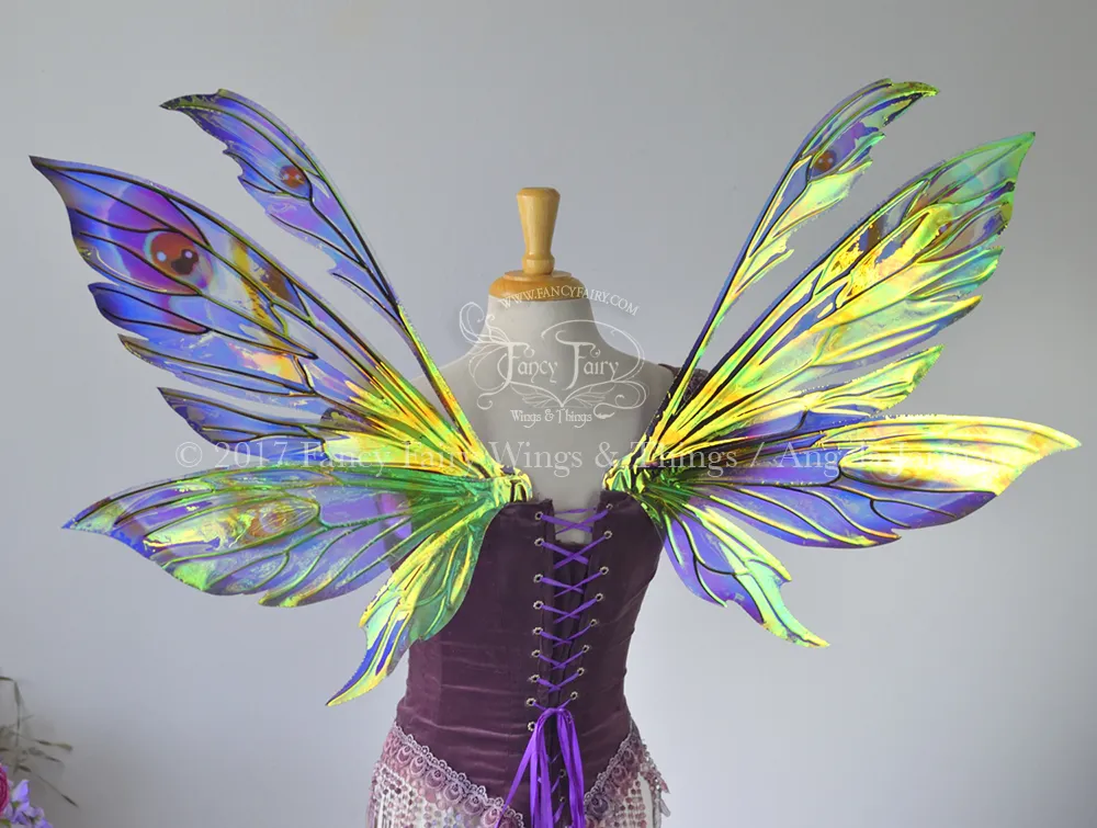 Aynia Painted Iridescent Fairy Wings in Blues, Blacks and Reds