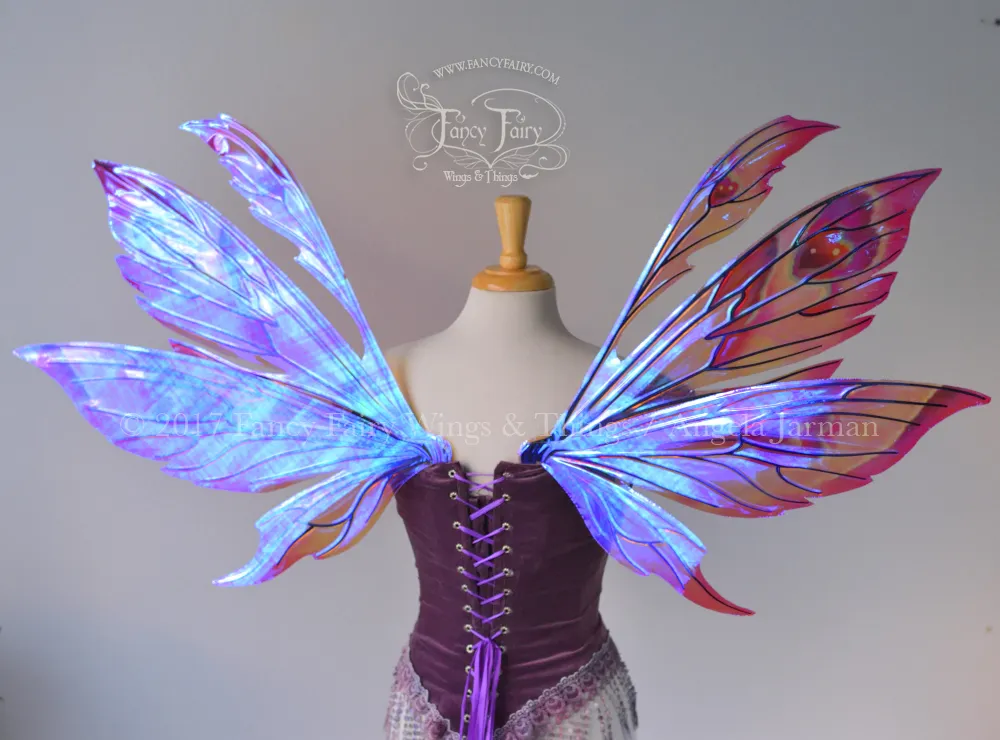Aynia Painted Iridescent Fairy Wings in Valentine Hearts Theme