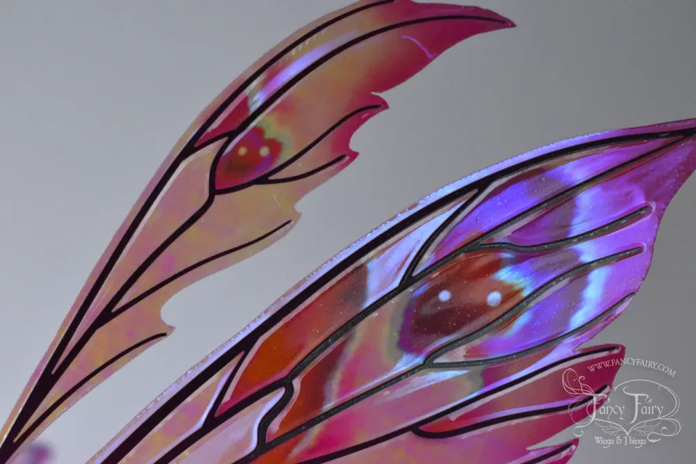 Aynia Painted Iridescent Fairy Wings in Valentine Hearts Theme