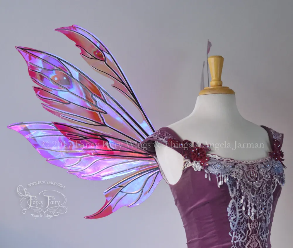 Aynia Painted Iridescent Fairy Wings in Valentine Hearts Theme