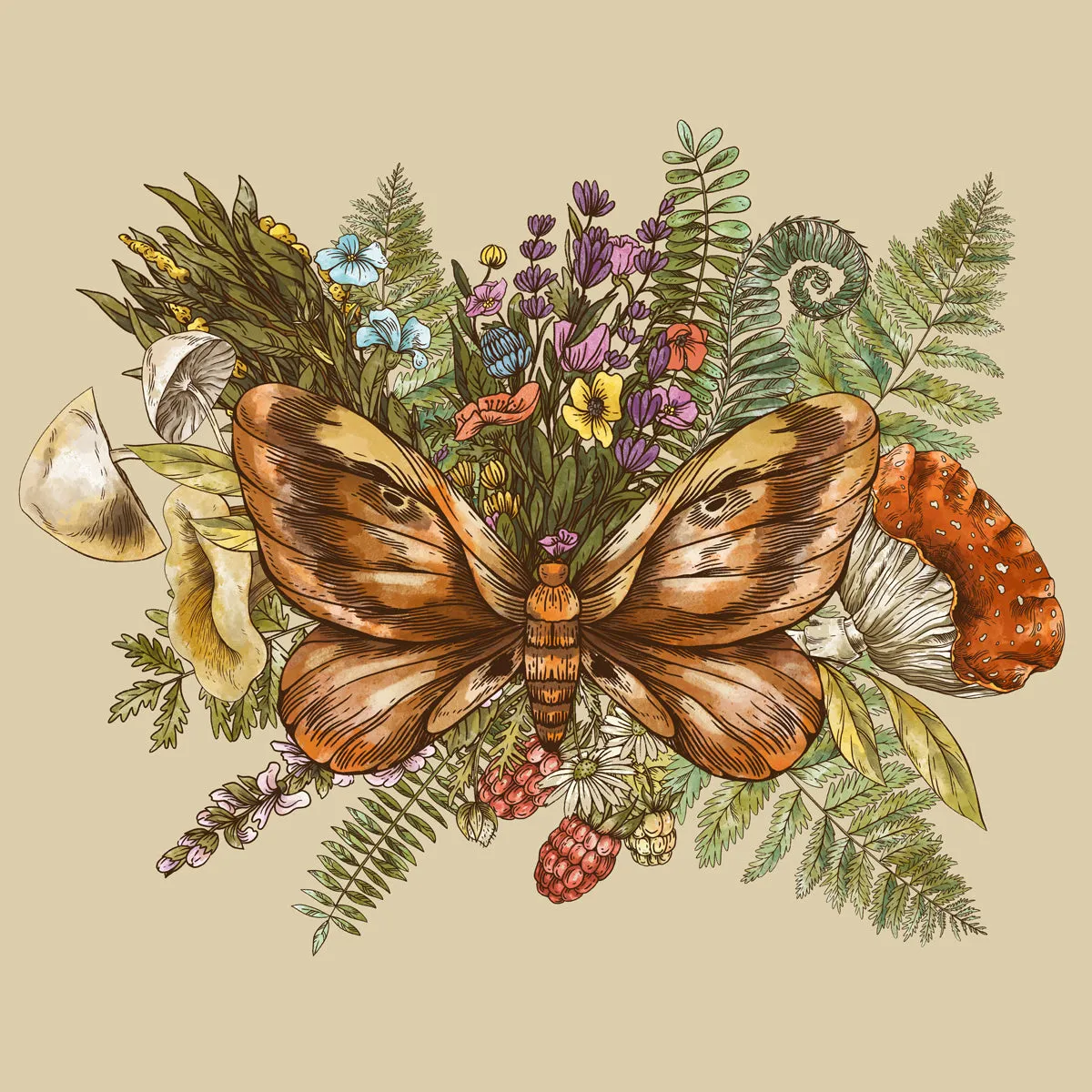 CHANTERELLE - EYESHADOW