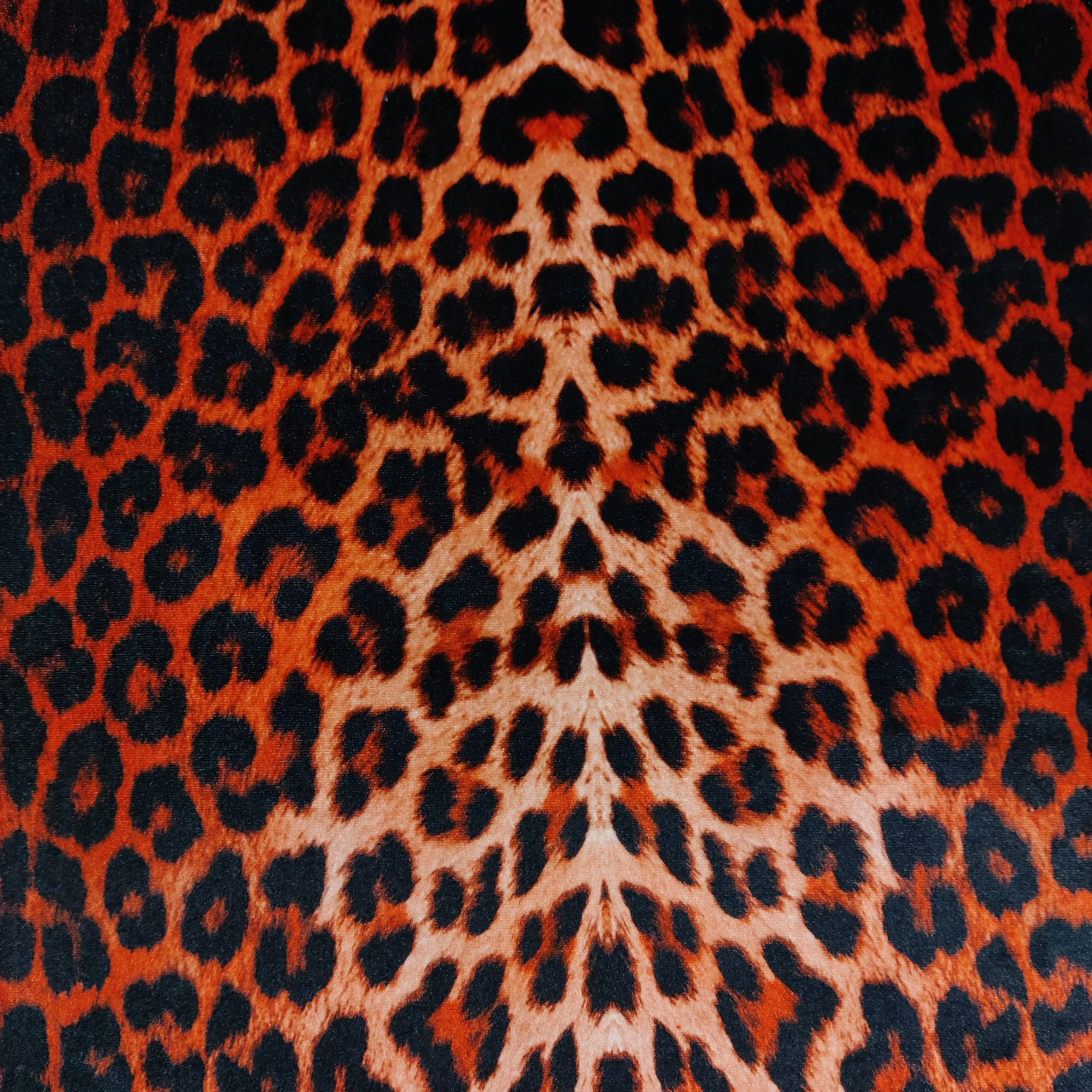 FS005_6 Red Leopard