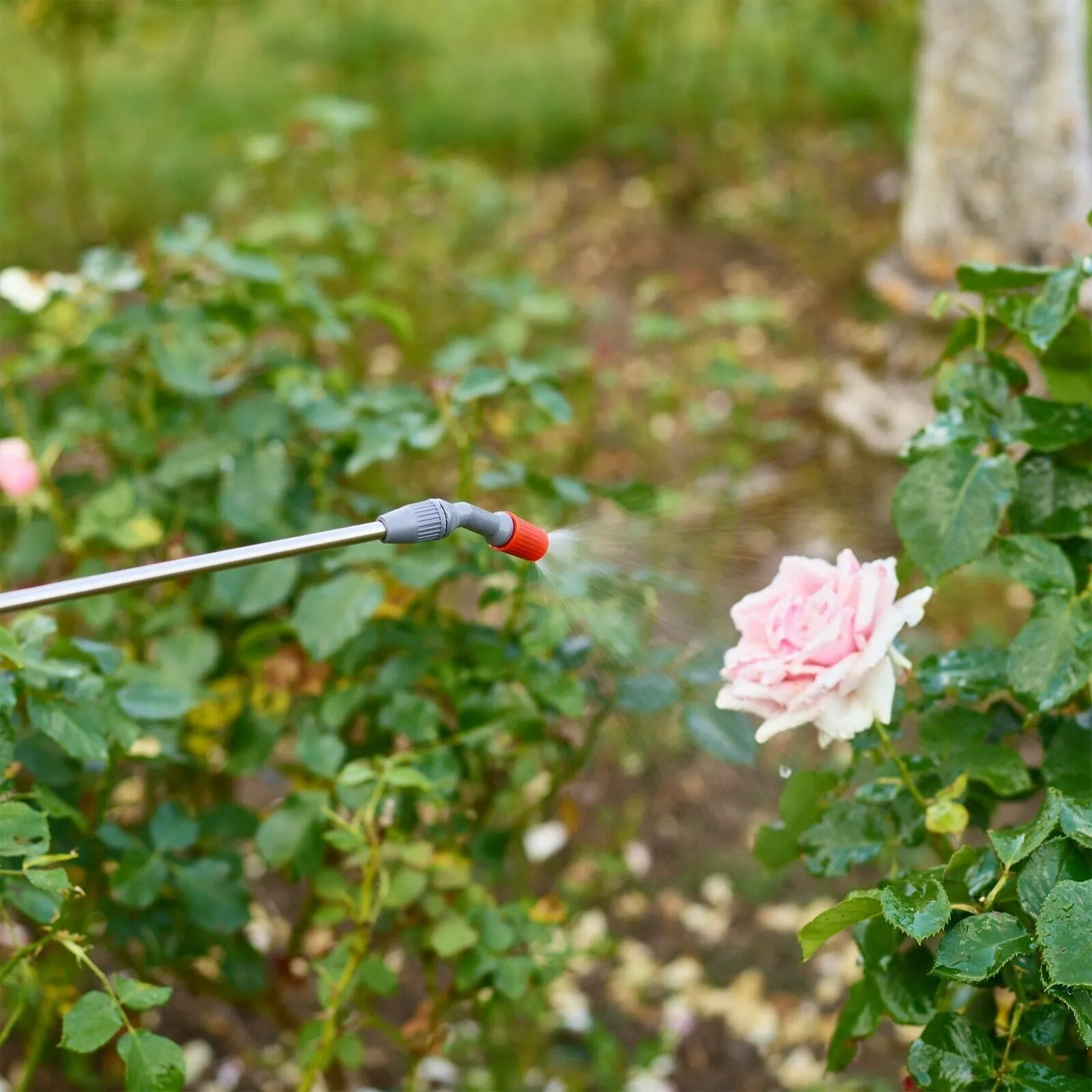 Manual Garden Hand Pressure Sprayer