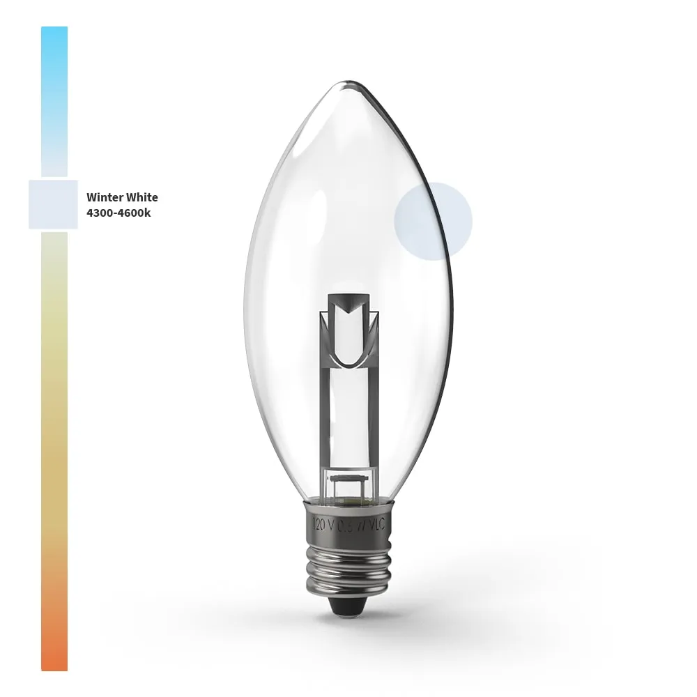 Projector Series™ LED Bulbs (Box of 25)