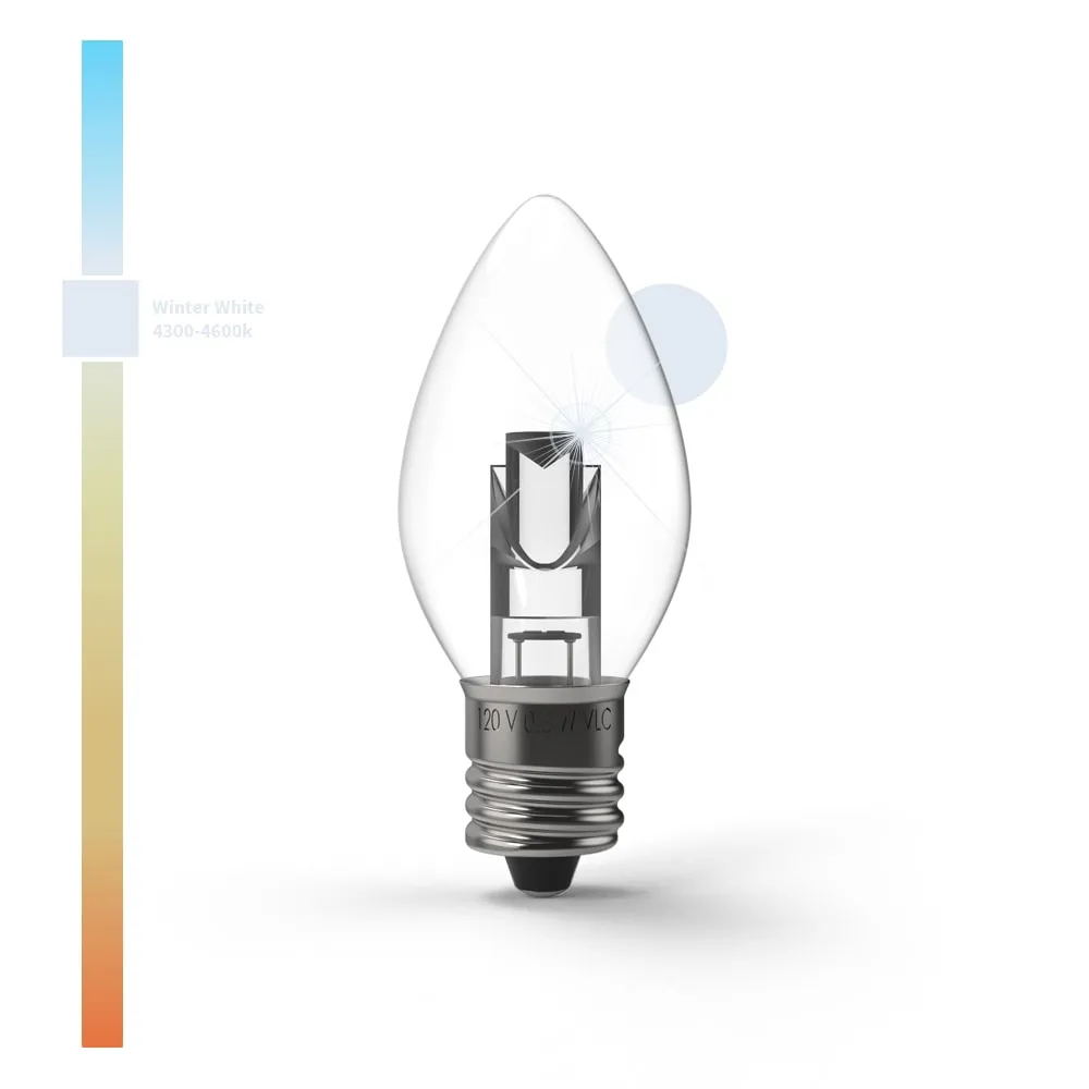 Projector Series™ LED Bulbs (Box of 25)