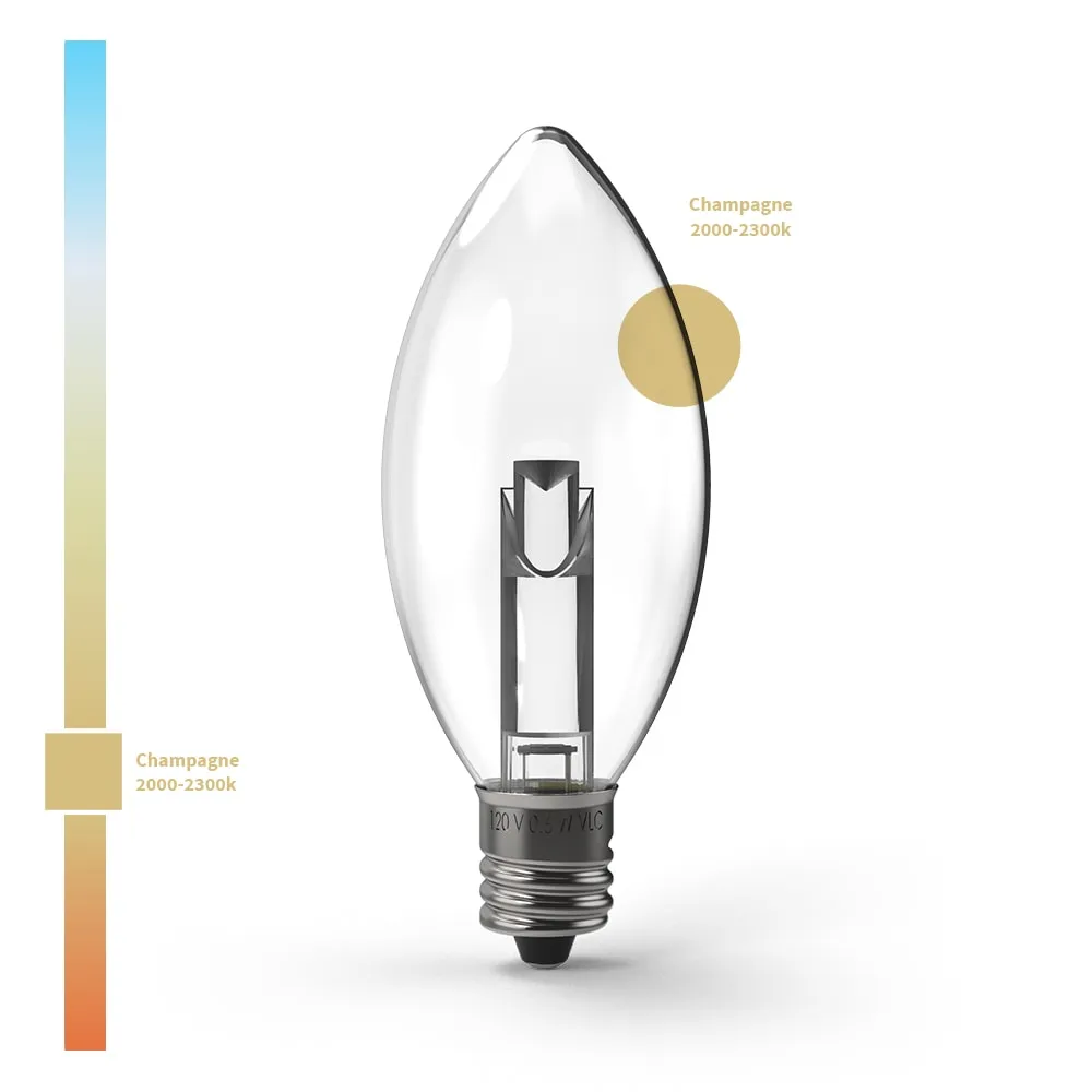 Projector Series™ LED Bulbs (Box of 25)